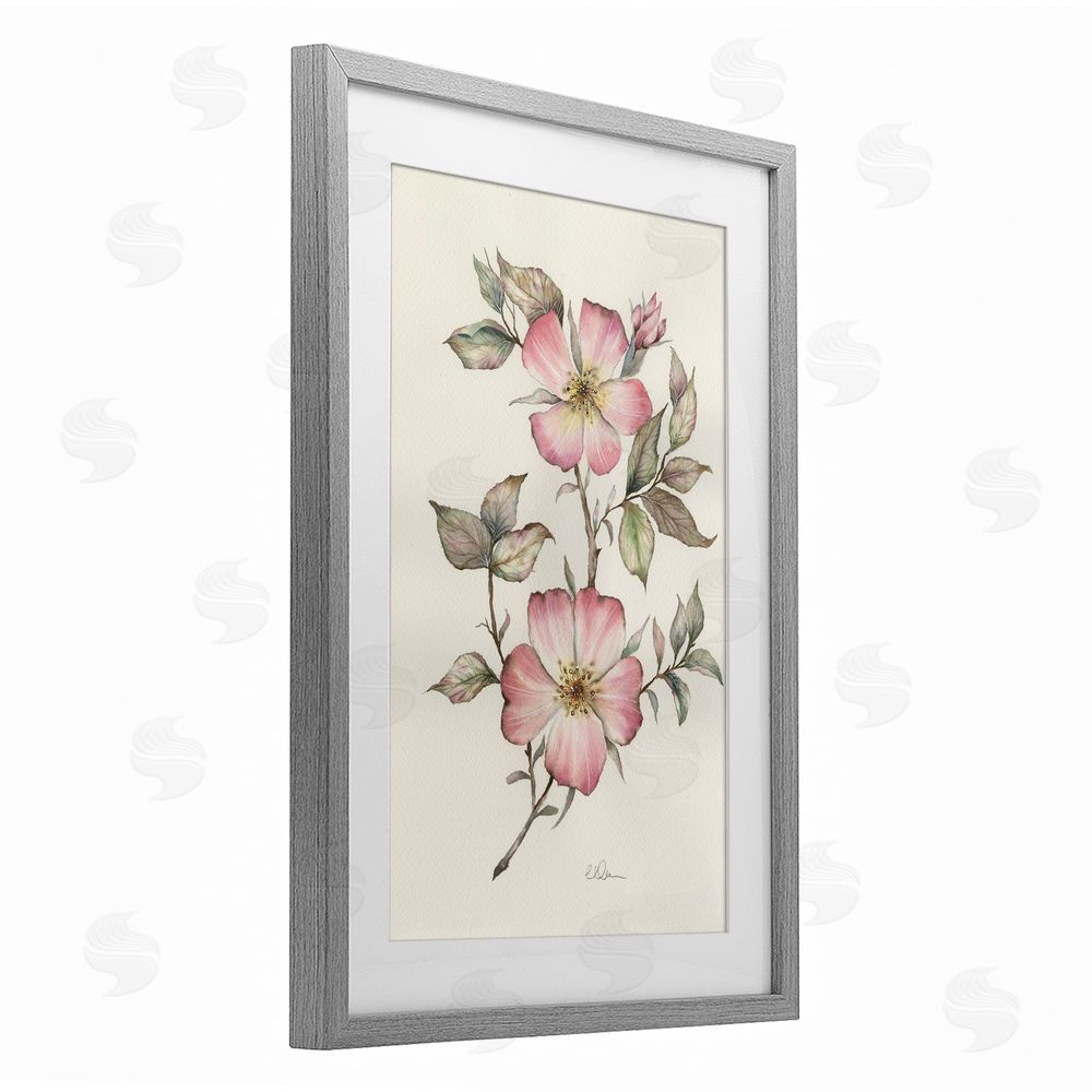 Cady Driver Two Flowers Natural Study Gray Framed Print Under Glass with White Mat Wall Art