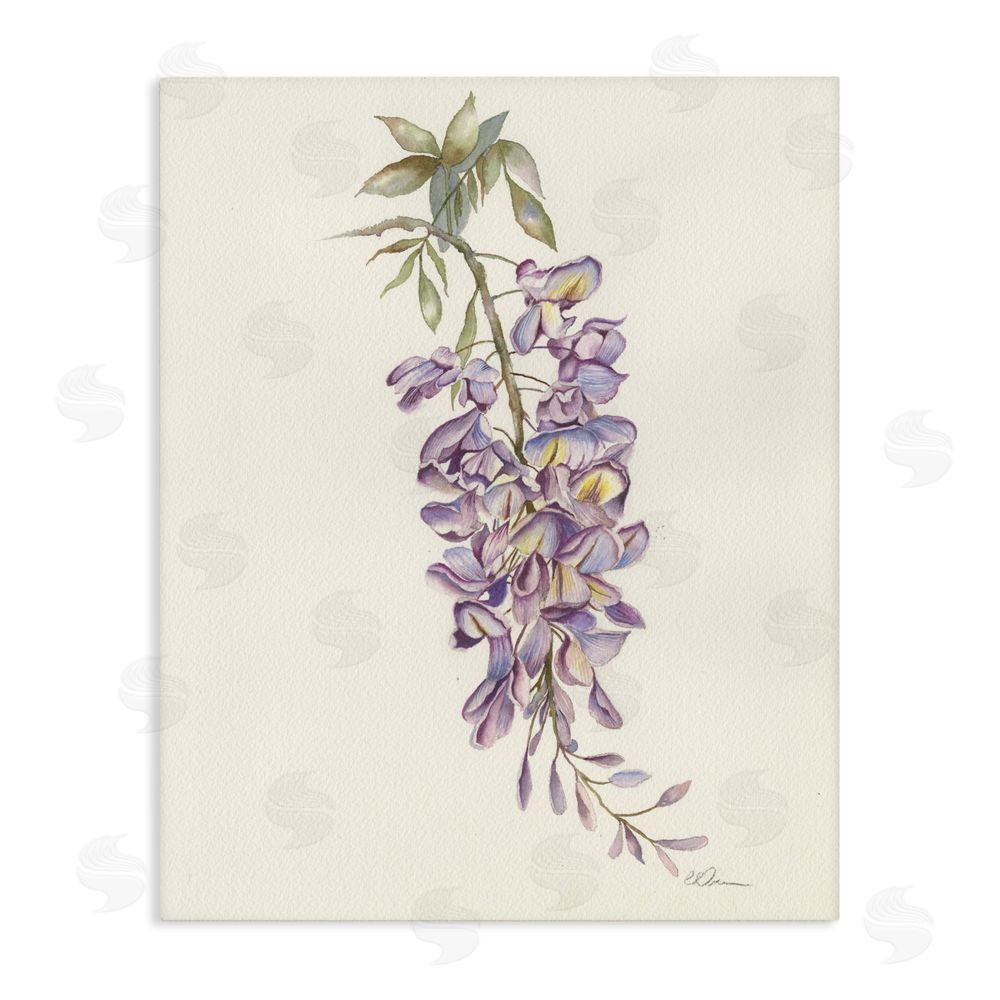 Cady Driver Delicate Hyacinths Study Stretched Canvas Wall Art