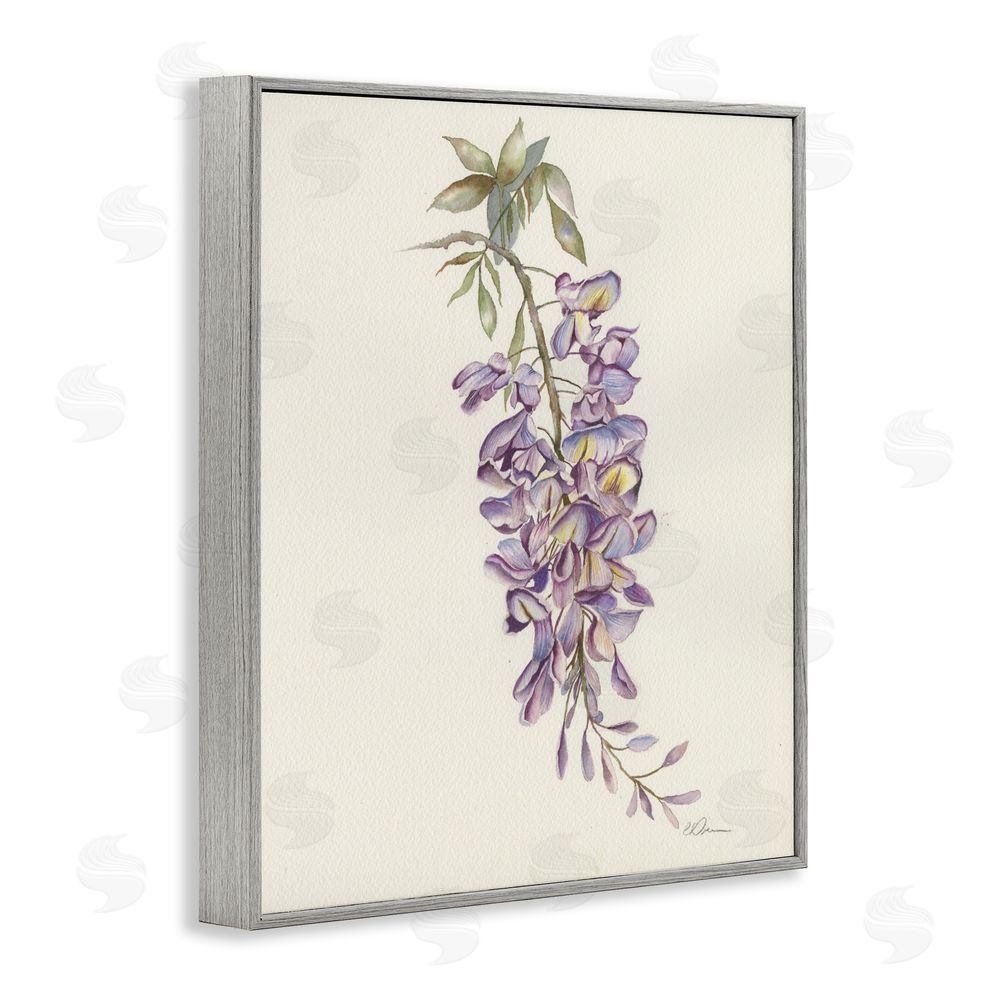 Cady Driver Delicate Hyacinths Study Gray Framed Giclee Wall Art Print