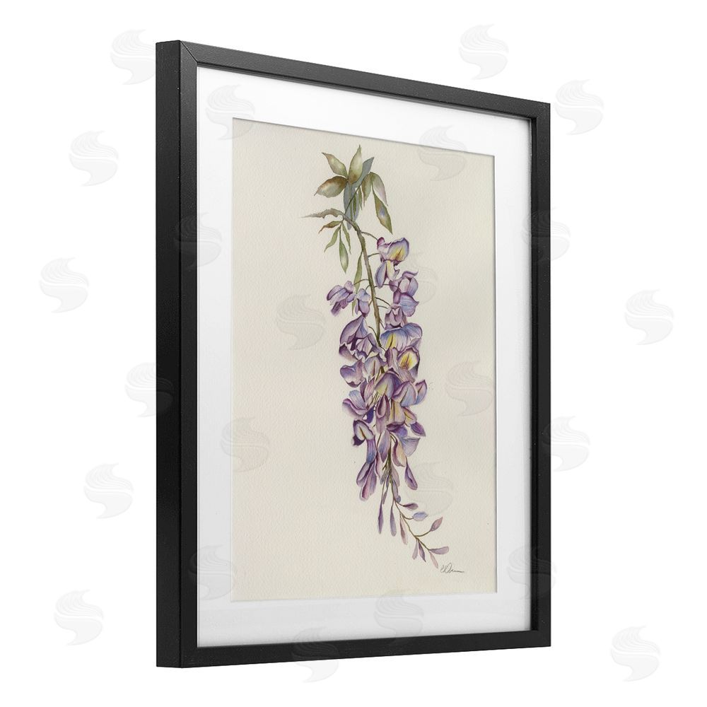 Cady Driver Delicate Hyacinths Study Black Framed Print Under Glass Wall Art