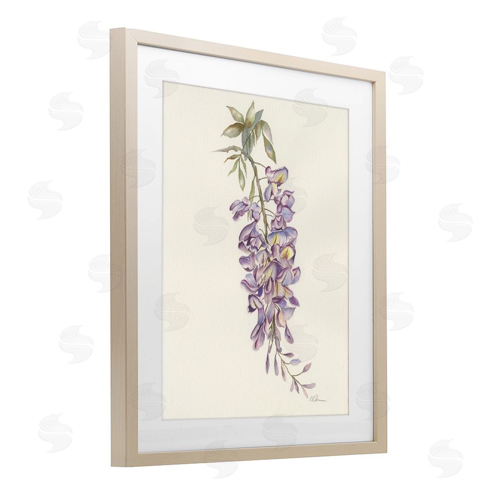 Cady Driver Delicate Hyacinths Study Brown Framed Print Under Glass Wall Art