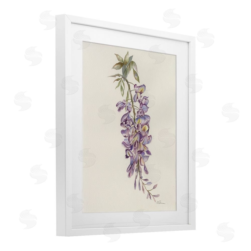 Cady Driver Delicate Hyacinths Study White Framed Print Under Glass Wall Art