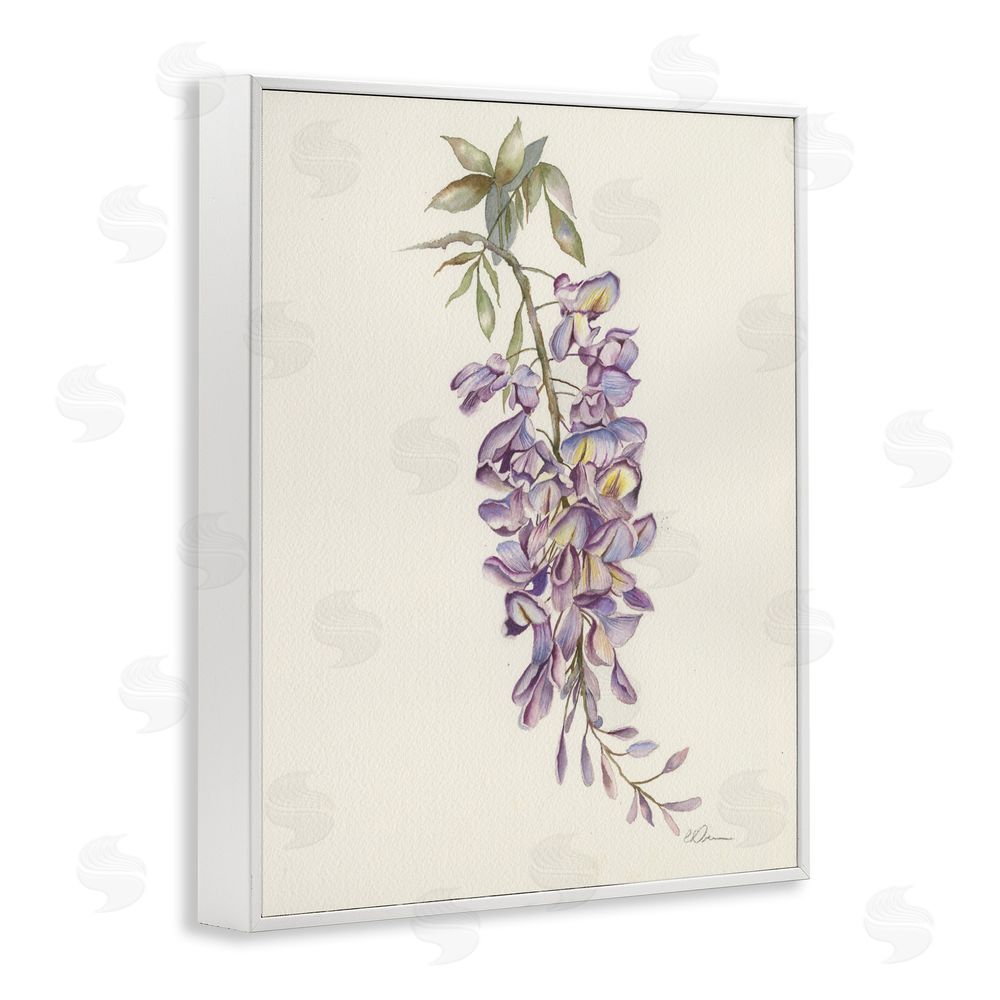 Cady Driver Delicate Hyacinths Study White Framed Giclee Wall Art Print