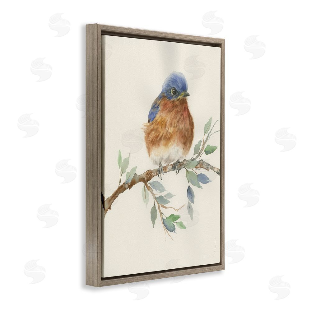 Cady Driver Songbird Perched on Branch Brown Floating Framed Canvas Wall Art Print