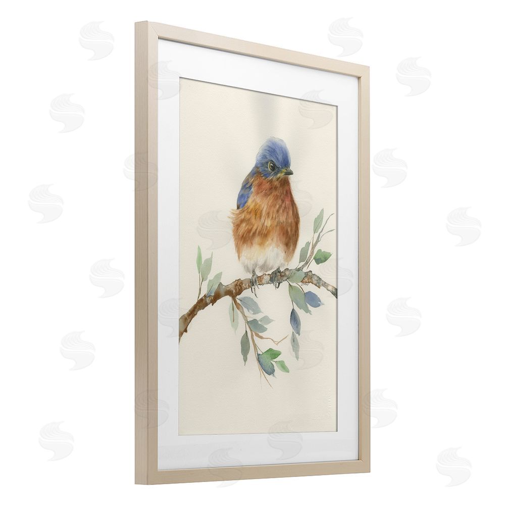Cady Driver Songbird Perched on Branch Brown Framed Print Under Glass with White Mat Wall Art