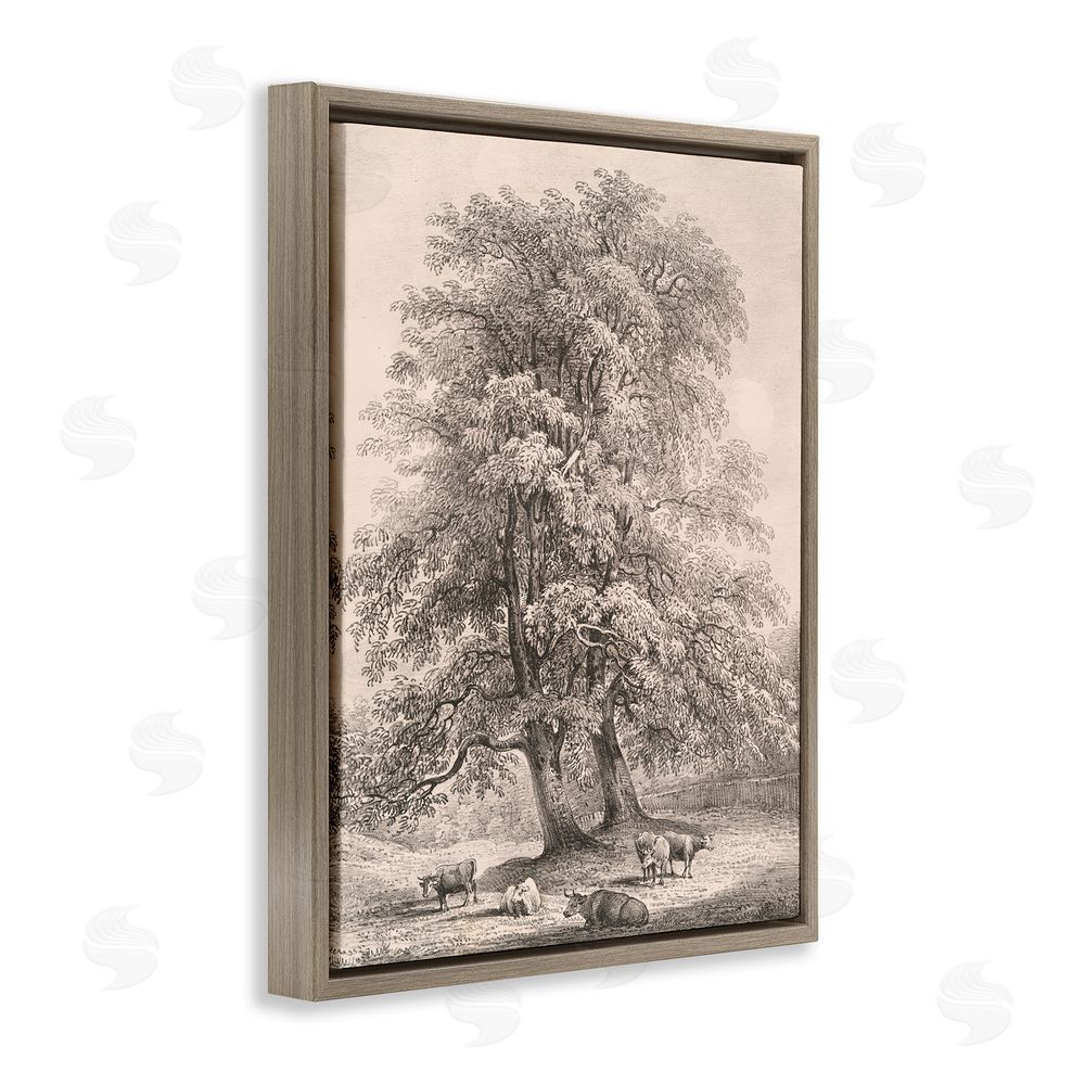 Wild Apple Portfolio Ash Trees at Bolton Abbey Brown Floating Frame Canvas Wall Art Print