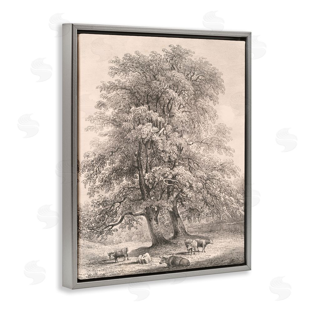 Wild Apple Portfolio Ash Trees at Bolton Abbey Gray Floating Frame Canvas Wall Art Print