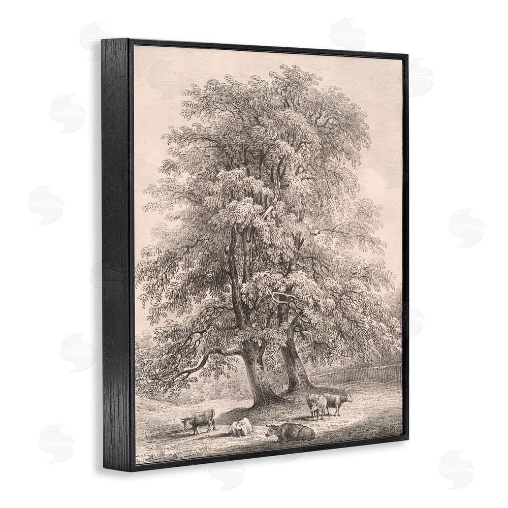 Wild Apple Portfolio Ash Trees at Bolton Abbey Black Framed Giclee Wall Art Print