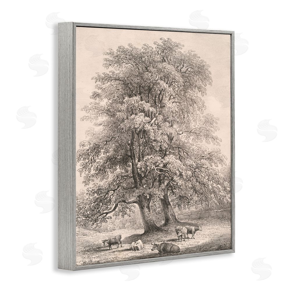 Wild Apple Portfolio Ash Trees at Bolton Abbey Gray Framed Giclee Wall Art Print