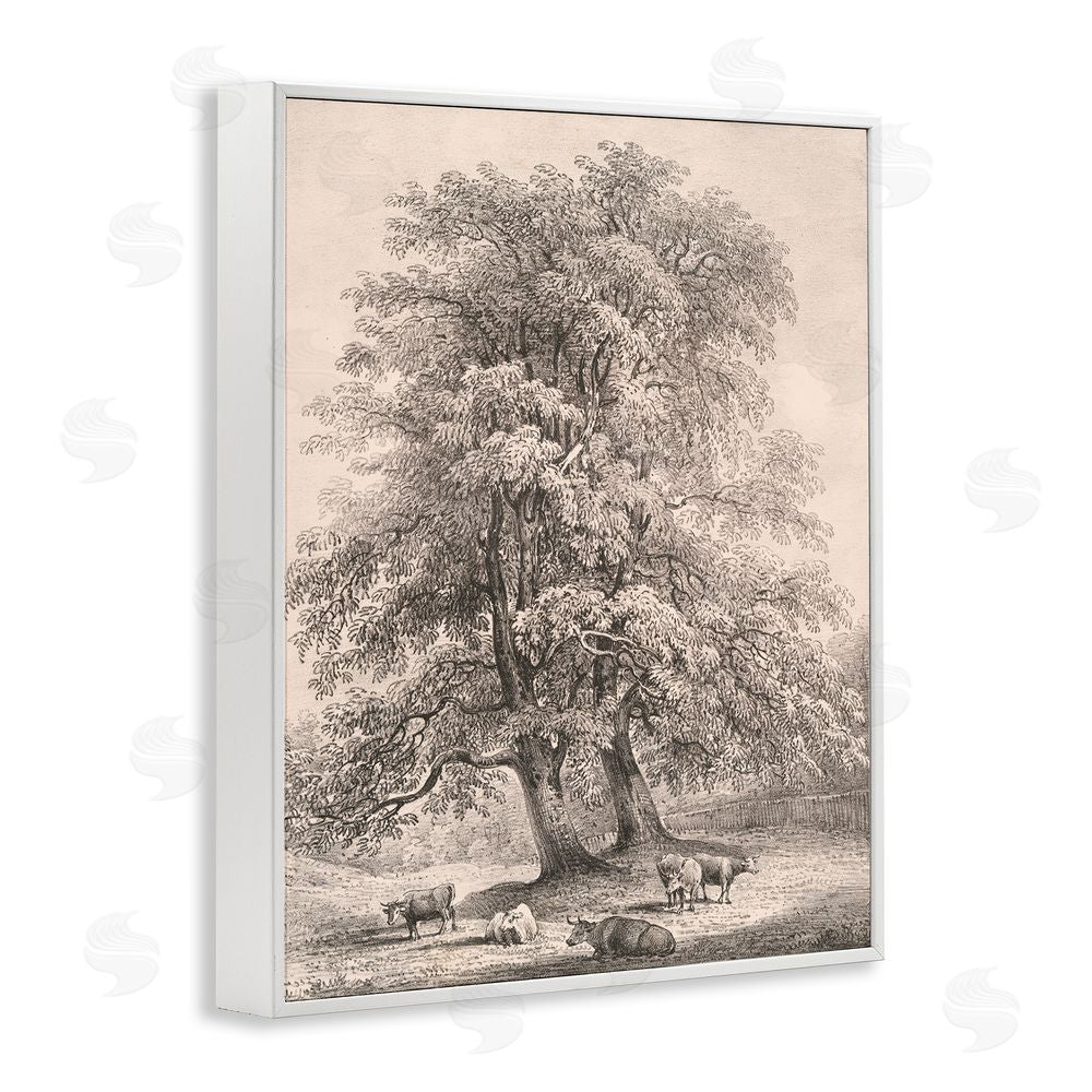 Wild Apple Portfolio Ash Trees at Bolton Abbey White Framed Giclee Wall Art Print