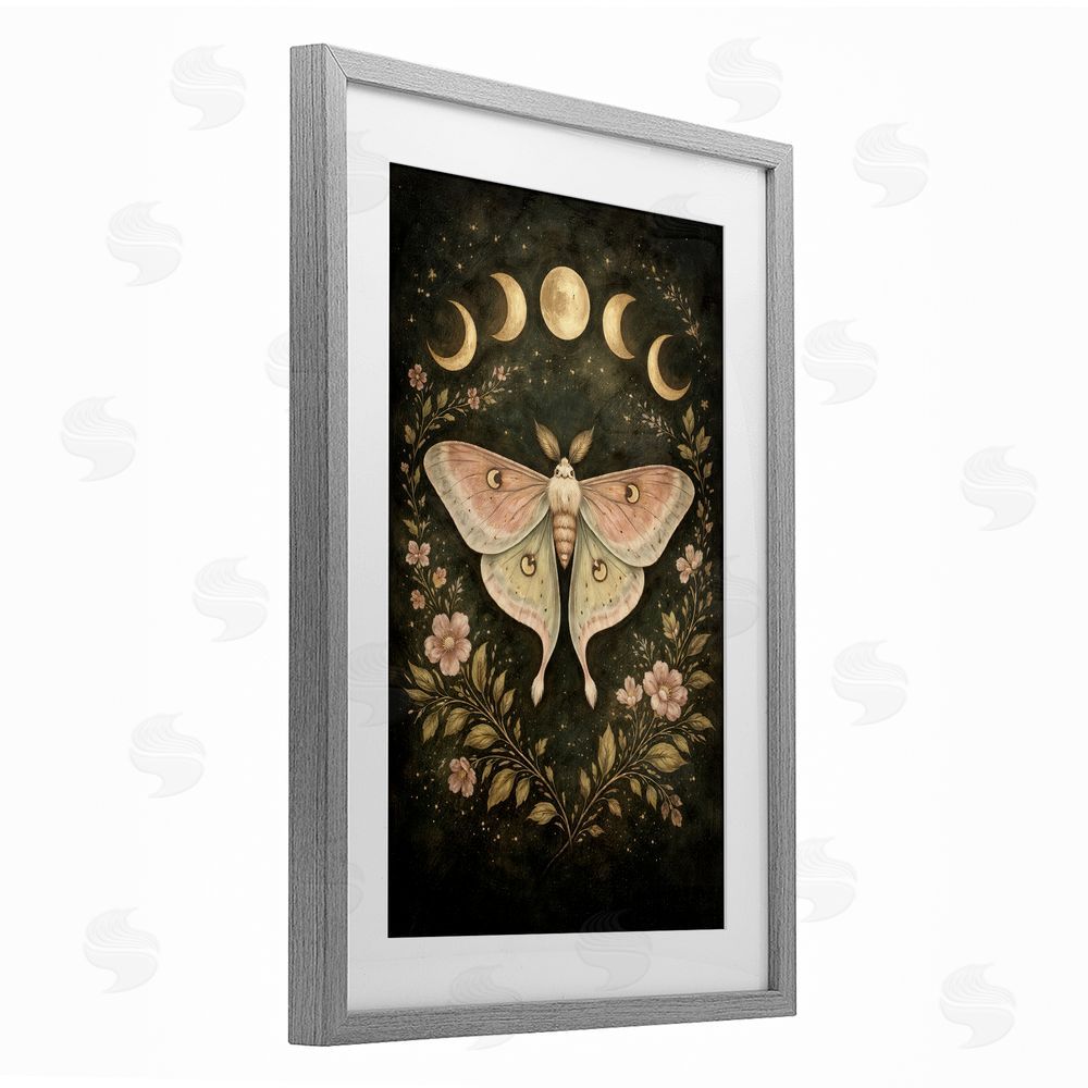 Tom Crehan Celestial Moth with Lunar Phases Gray Framed Print Under Glass Wall Art