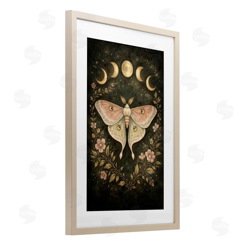 Tom Crehan Celestial Moth with Lunar Phases Brown Framed Print Under Glass Wall Art