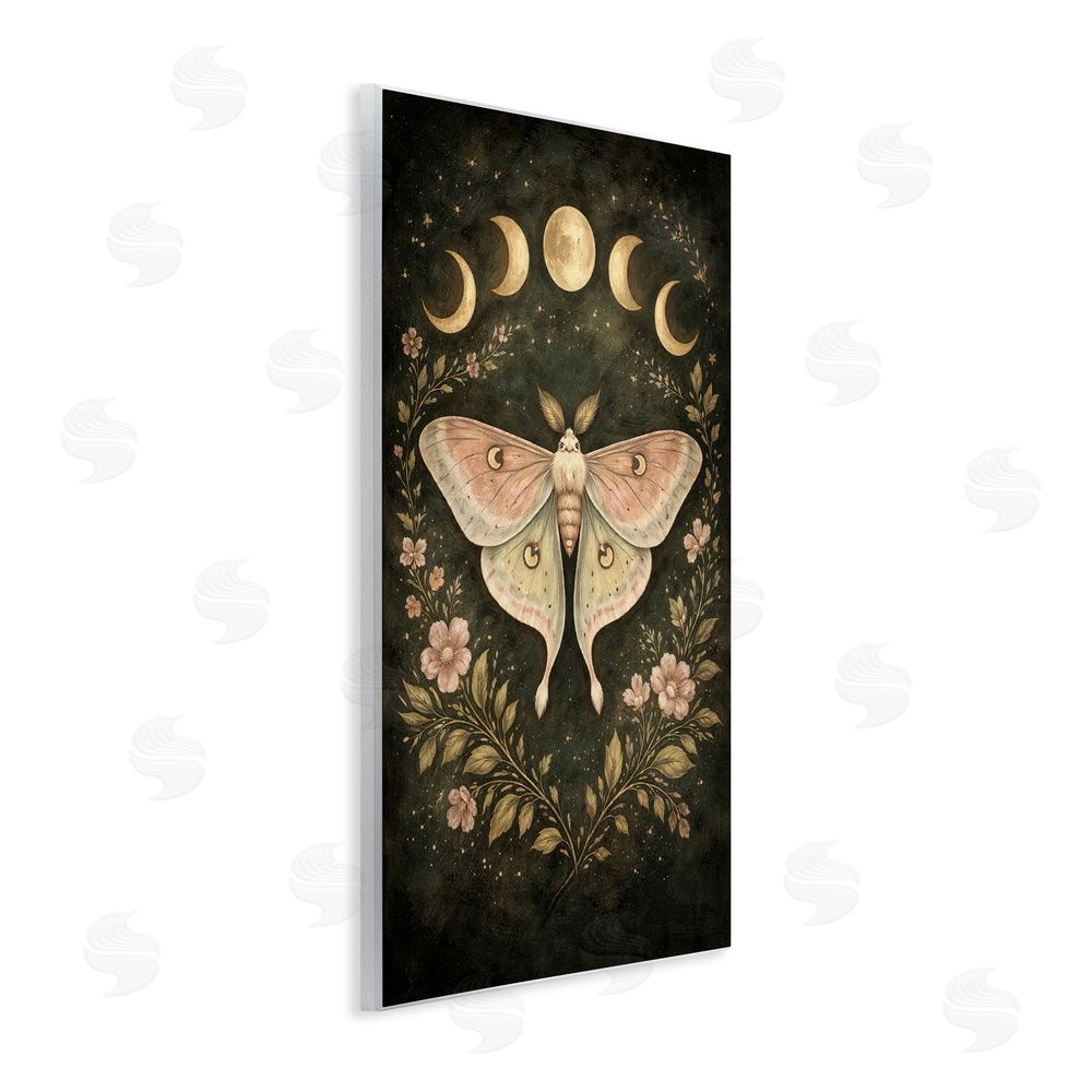 Tom Crehan Celestial Moth with Lunar Phases Wooden Wall Plaque Art Print