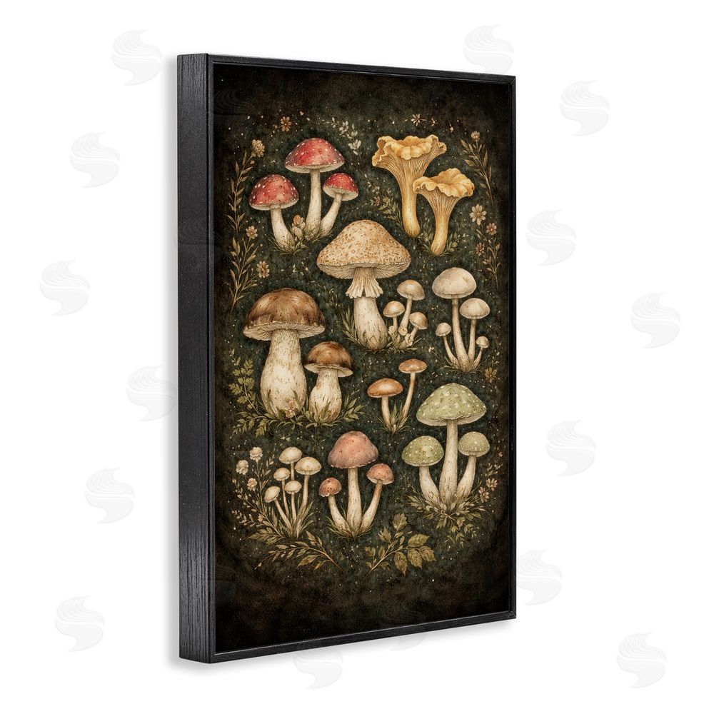 TOMCRE154835 Organic Sprouting Mushrooms Black Framed Giclee Wall Art