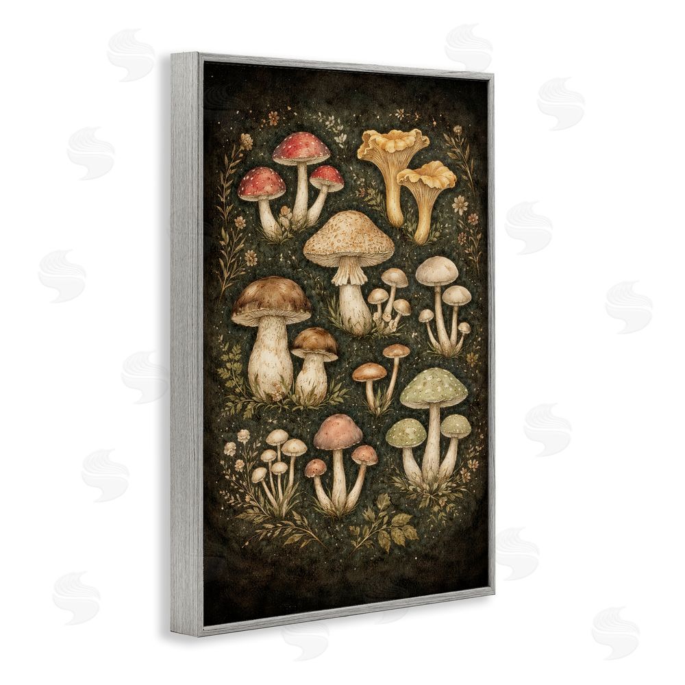 TOMCRE154835 Organic Sprouting Mushrooms Gray Framed Giclee Wall Art