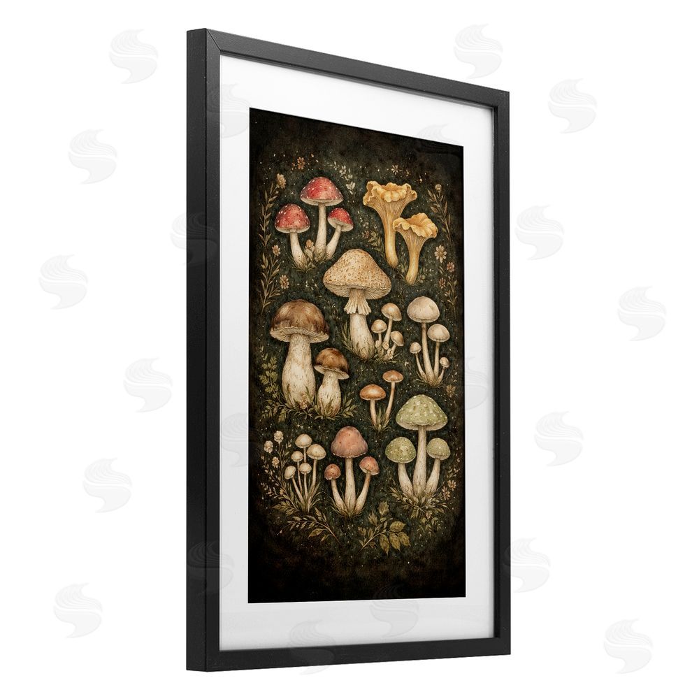 TOMCRE154835 Organic Sprouting Mushrooms Black Framed Print Under Glass Wall Art