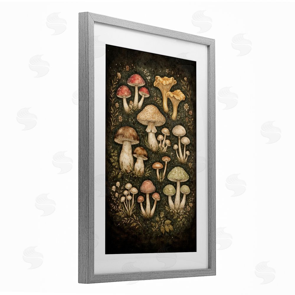 TOMCRE154835 Organic Sprouting Mushrooms Gray Framed Print Under Glass Wall Art