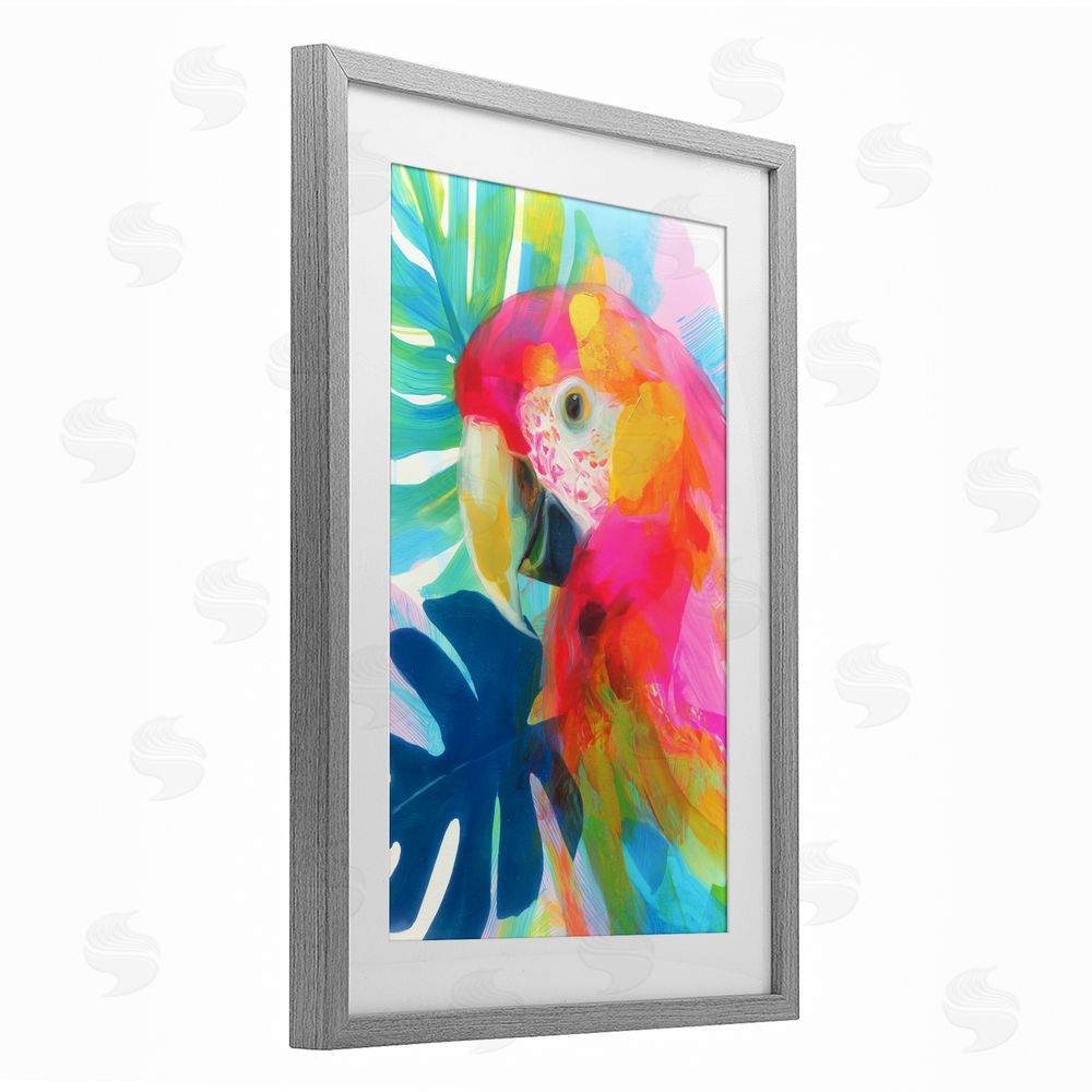 Chromatic Storm Studio Scarlet Macaw in Paradise Gray Framed Print Under Glass with White Mat Wall Art