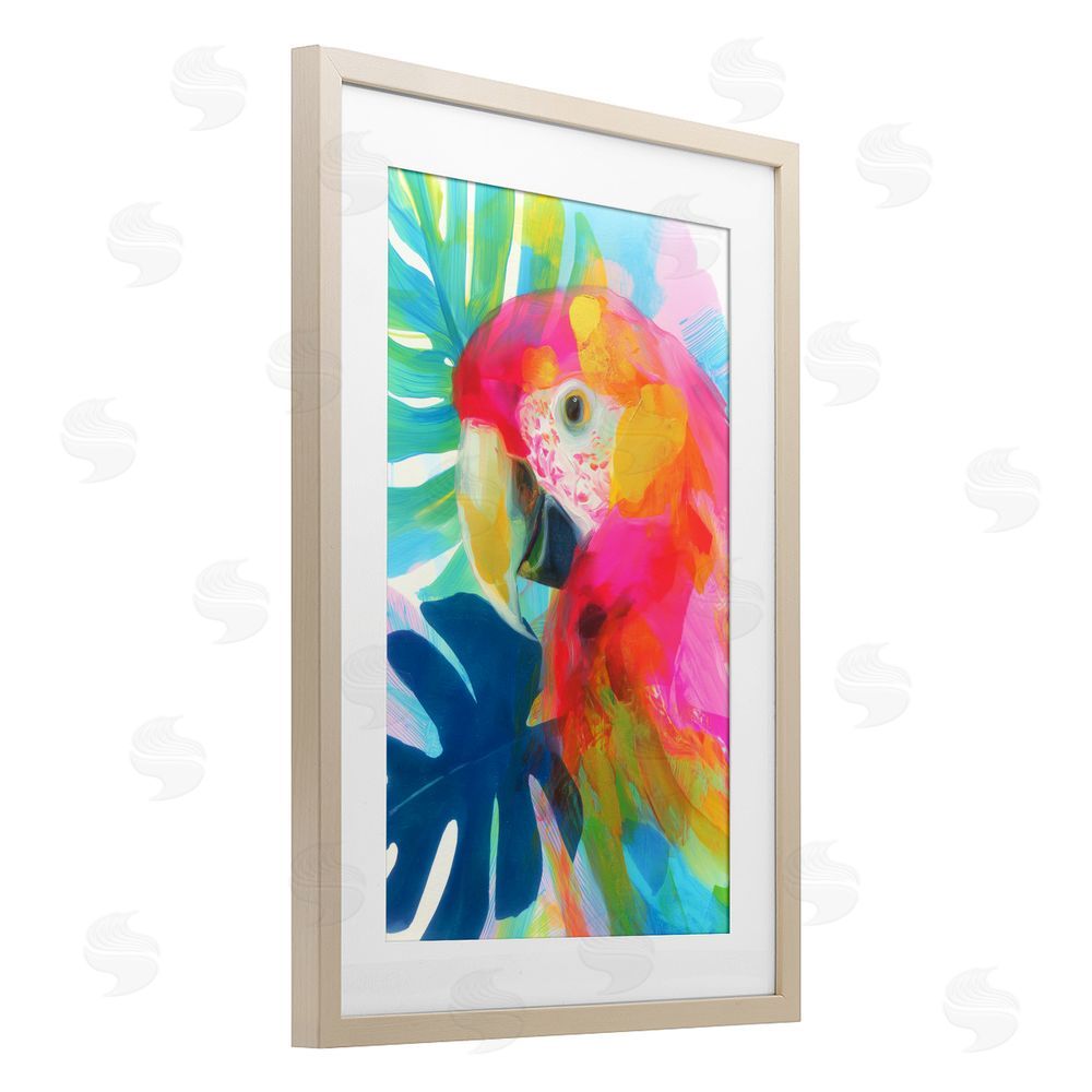 Chromatic Storm Studio Scarlet Macaw in Paradise Brown Framed Print Under Glass with White Mat Wall Art