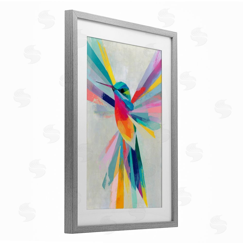 Chromatic Storm Studio Rainbow Winged Hummingbird Gray Framed Print Under Glass Wall Art