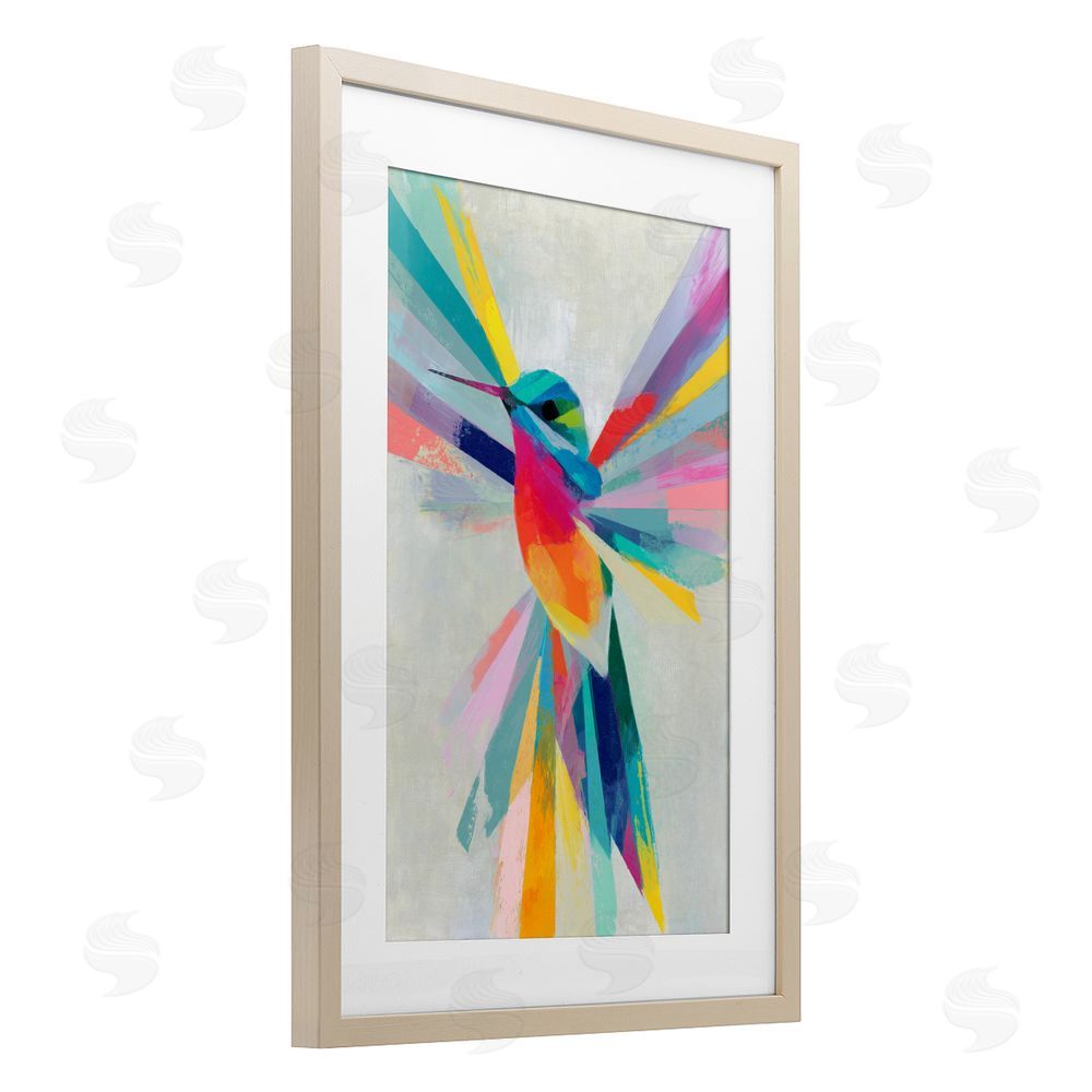 Chromatic Storm Studio Rainbow Winged Hummingbird Brown Framed Print Under Glass Wall Art