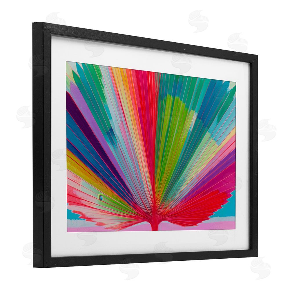 Chromatic Storm Studio Palm Fan In Spectrum Black Framed Print Under Glass Wall Art