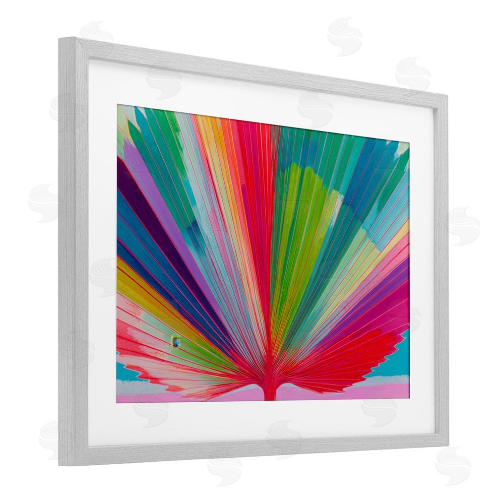 Chromatic Storm Studio Palm Fan In Spectrum Gray Framed Print Under Glass Wall Art