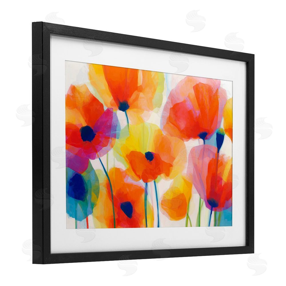 Chromatic Storm Studio Poppies At Golden Hour Black Framed Print Under Glass Wall Art