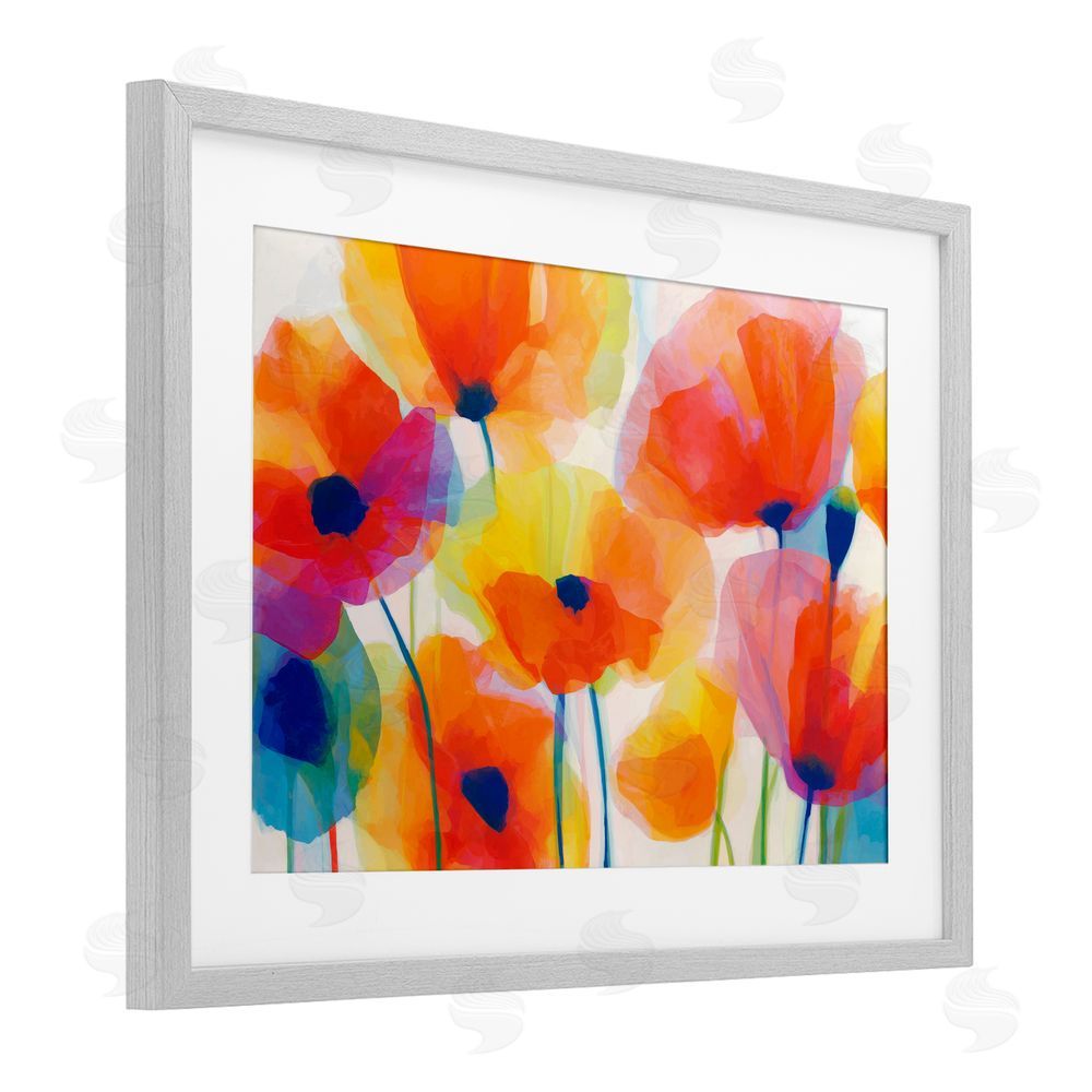 Chromatic Storm Studio Poppies At Golden Hour Gray Framed Print Under Glass Wall Art