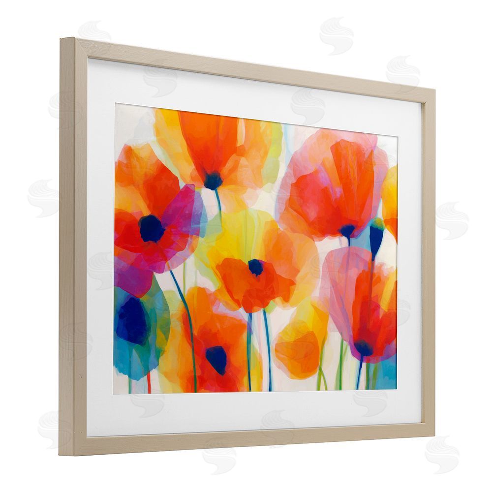 Chromatic Storm Studio Poppies At Golden Hour Brown Framed Print Under Glass Wall Art