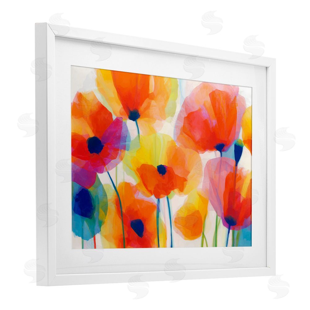 Chromatic Storm Studio Poppies At Golden Hour White Framed Print Under Glass Wall Art