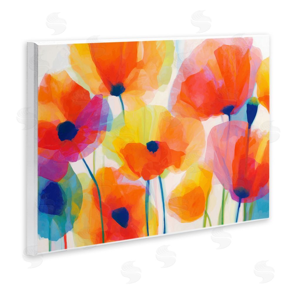 Chromatic Storm Studio Poppies At Golden Hour Wall Plaque Home Decor Art Print