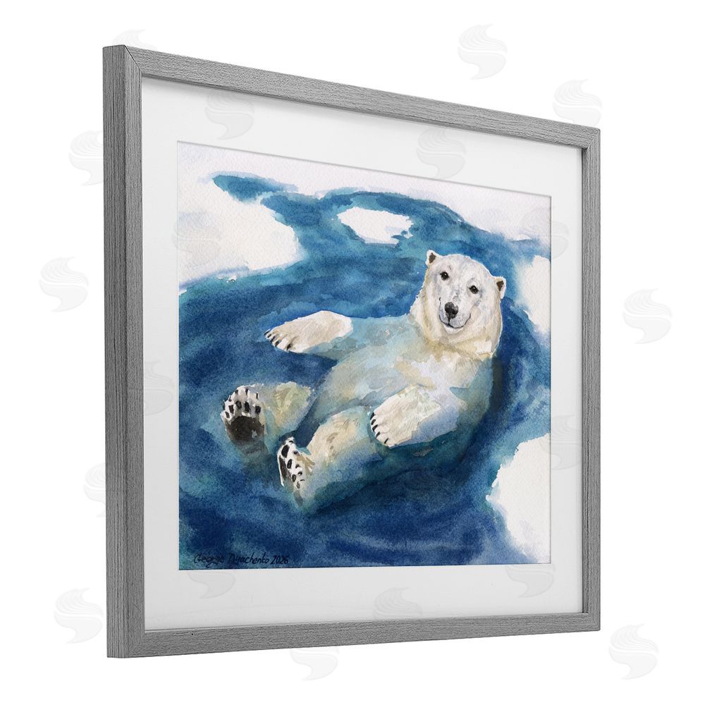 George Dyachenko Polar Bear Icy Bath Time Gray Framed Print Under Glass Wall Art