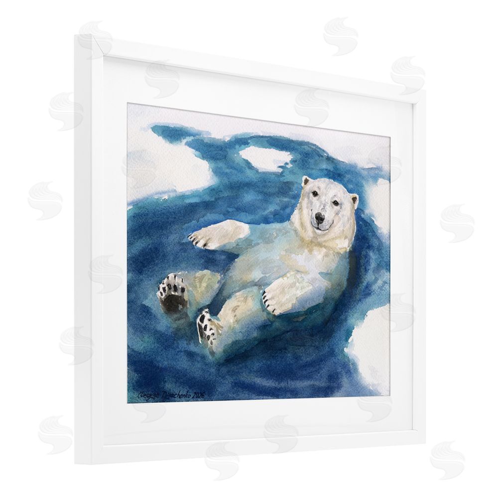 George Dyachenko Polar Bear Icy Bath Time White Framed Print Under Glass Wall Art