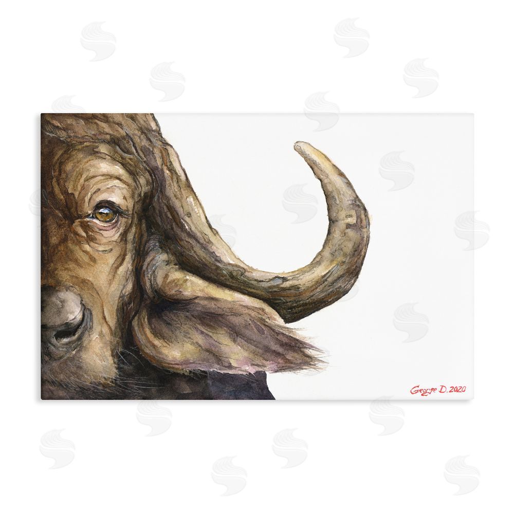 George Dyachenko Buffalo with Curved Horn Stretched Canvas Wall Art Print