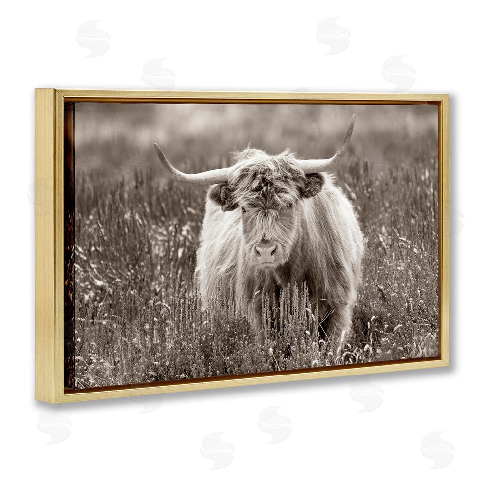 Steve Smith A Field & Cattle Gold Floating Frame Canvas Wall Art Print