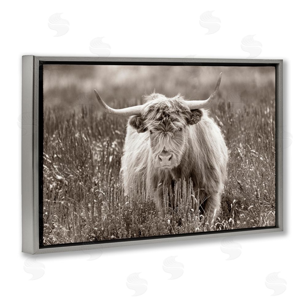 Steve Smith A Field & Cattle Gray Floating Frame Canvas Wall Art Print