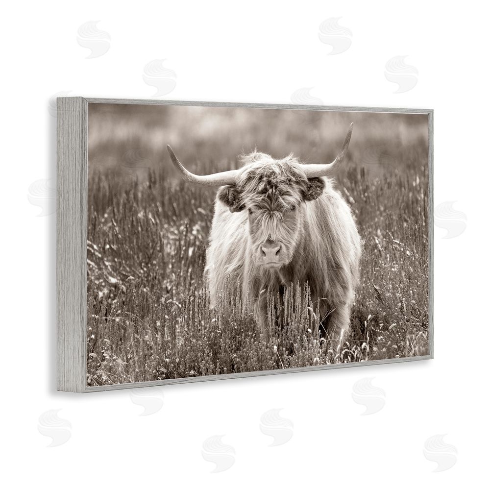 Steve Smith A Field & Cattle Gray Framed Giclee Wall Art Print