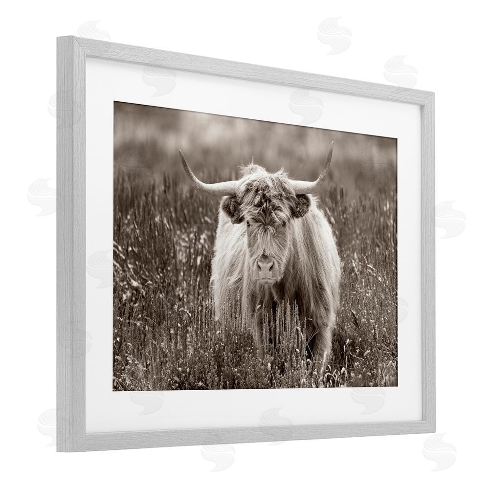 Steve Smith A Field & Cattle Gray Framed Print Under Glass Wall Art