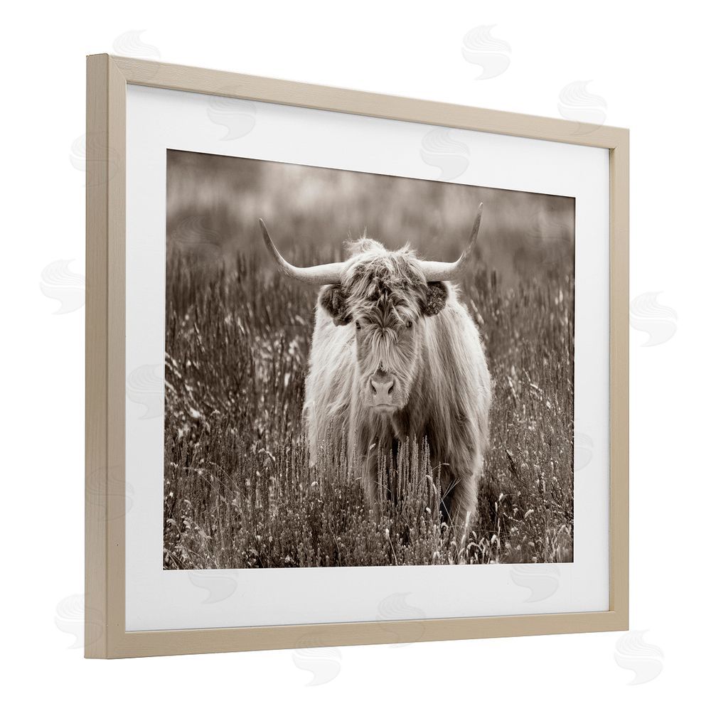 Steve Smith A Field & Cattle Brown Framed Print Under Glass Wall Art