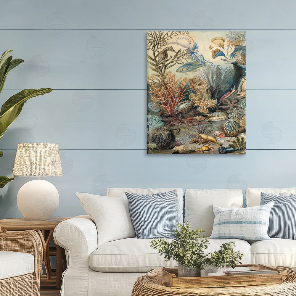 Lil' Rue Aquatic Creatures & Fauna