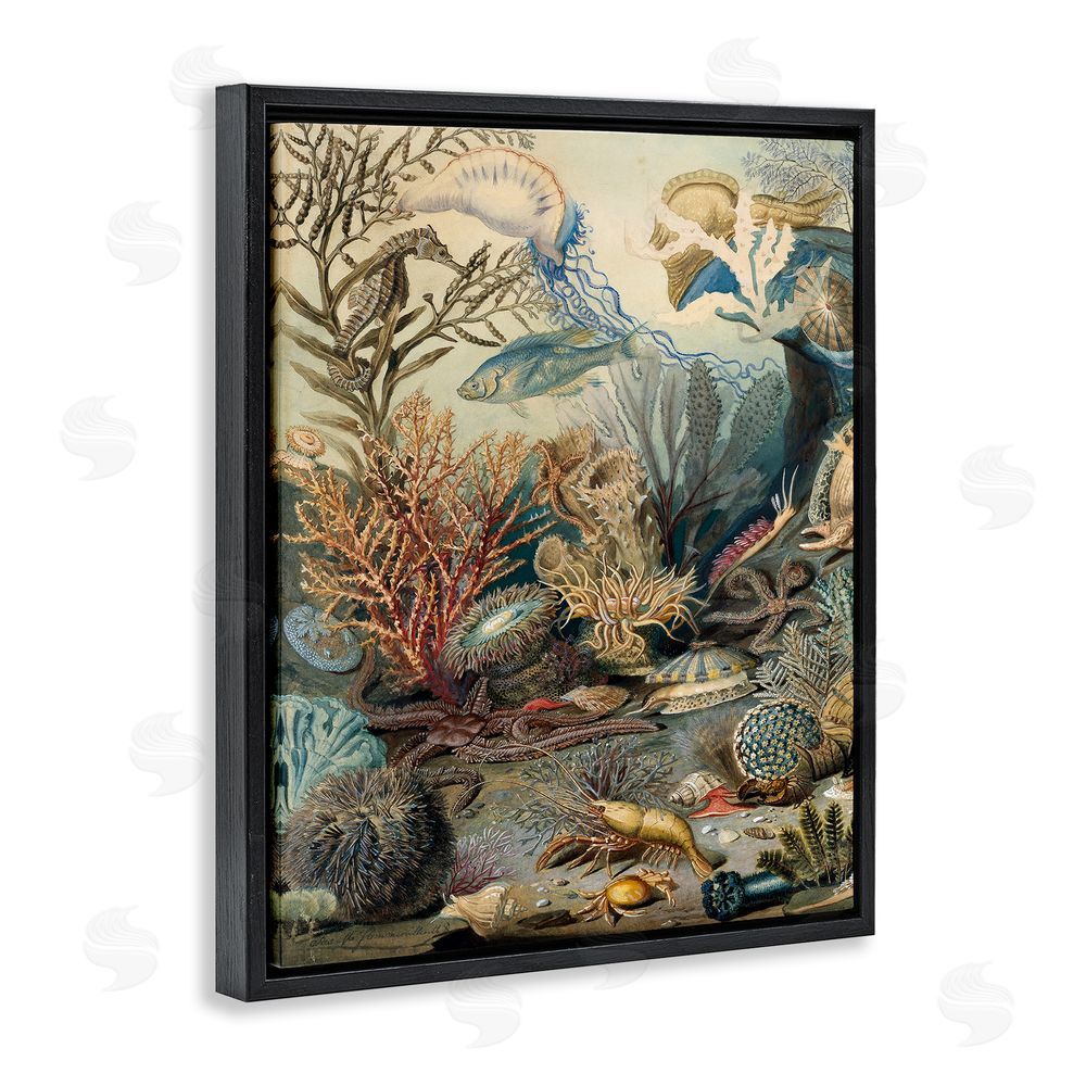 Lil' Rue Aquatic Creatures & Fauna Black Floating Frame Canvas Wall Art Print