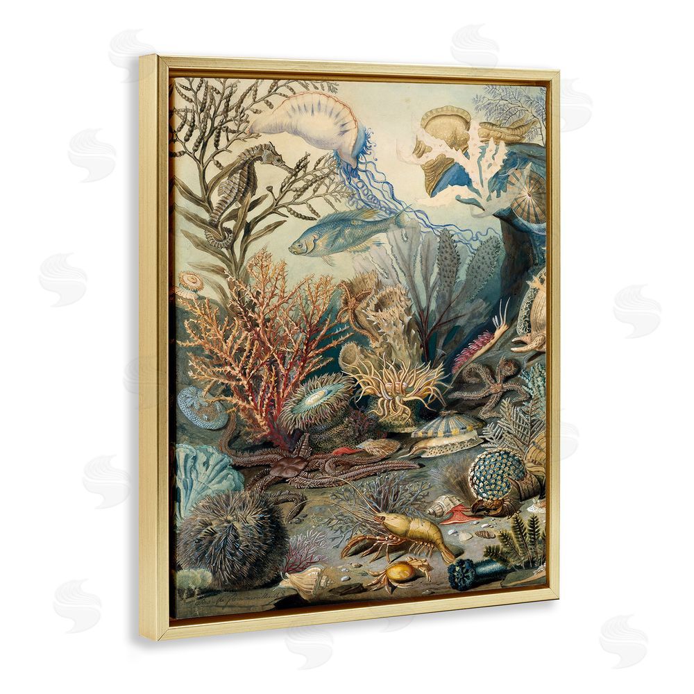 Lil' Rue Aquatic Creatures & Fauna Gold Floating Frame Canvas Wall Art Print