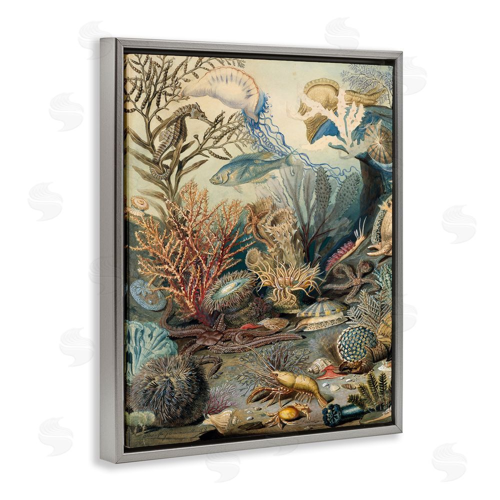 Lil' Rue Aquatic Creatures & Fauna Gray Floating Frame Canvas Wall Art Print