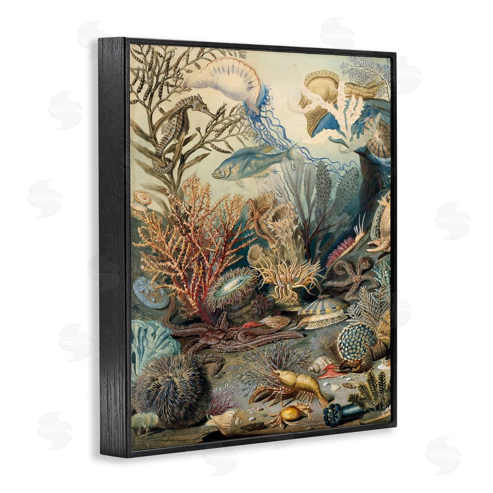 Lil' Rue Aquatic Creatures & Fauna Black Framed Giclee Wall Art Print