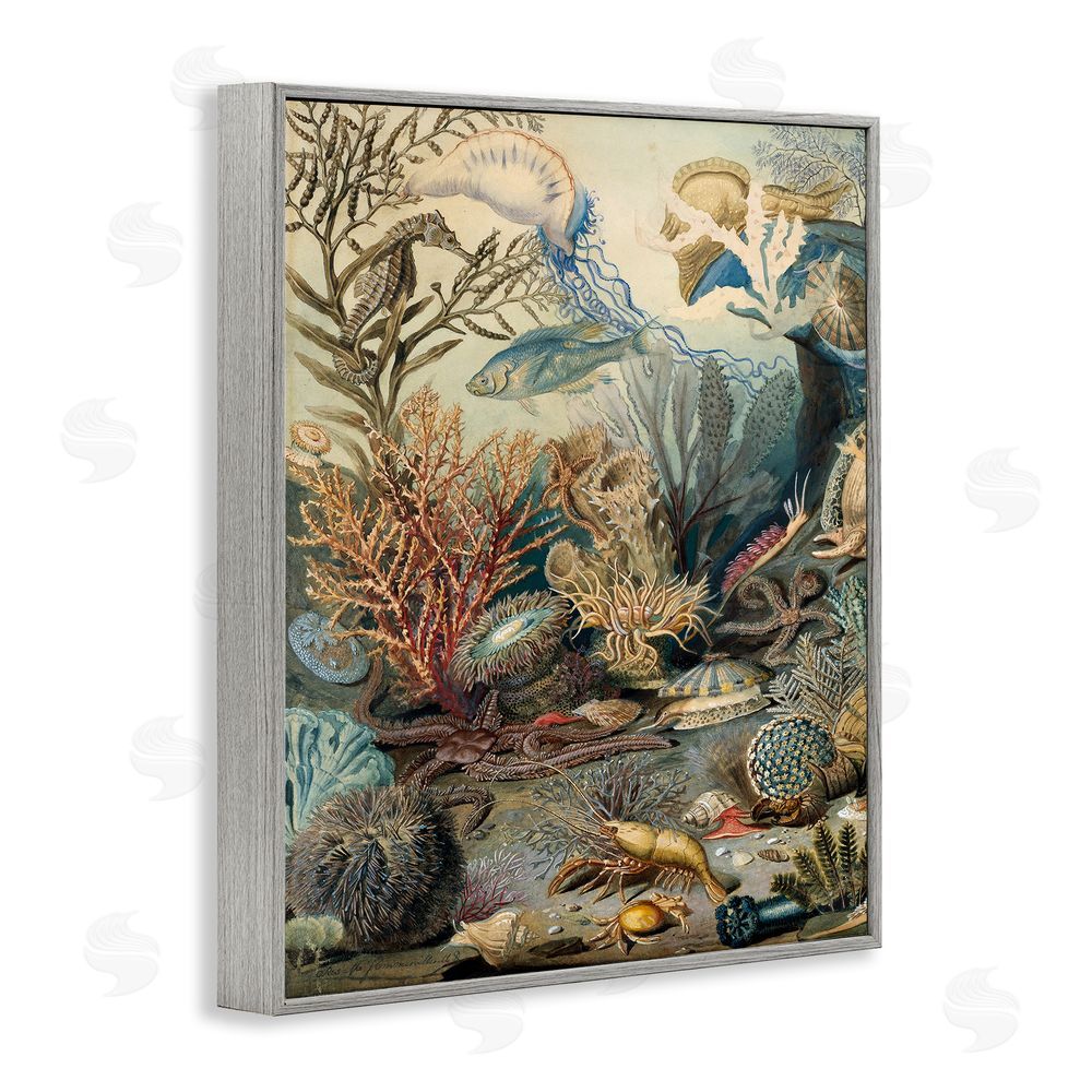 Lil' Rue Aquatic Creatures & Fauna Gray Framed Giclee Wall Art Print