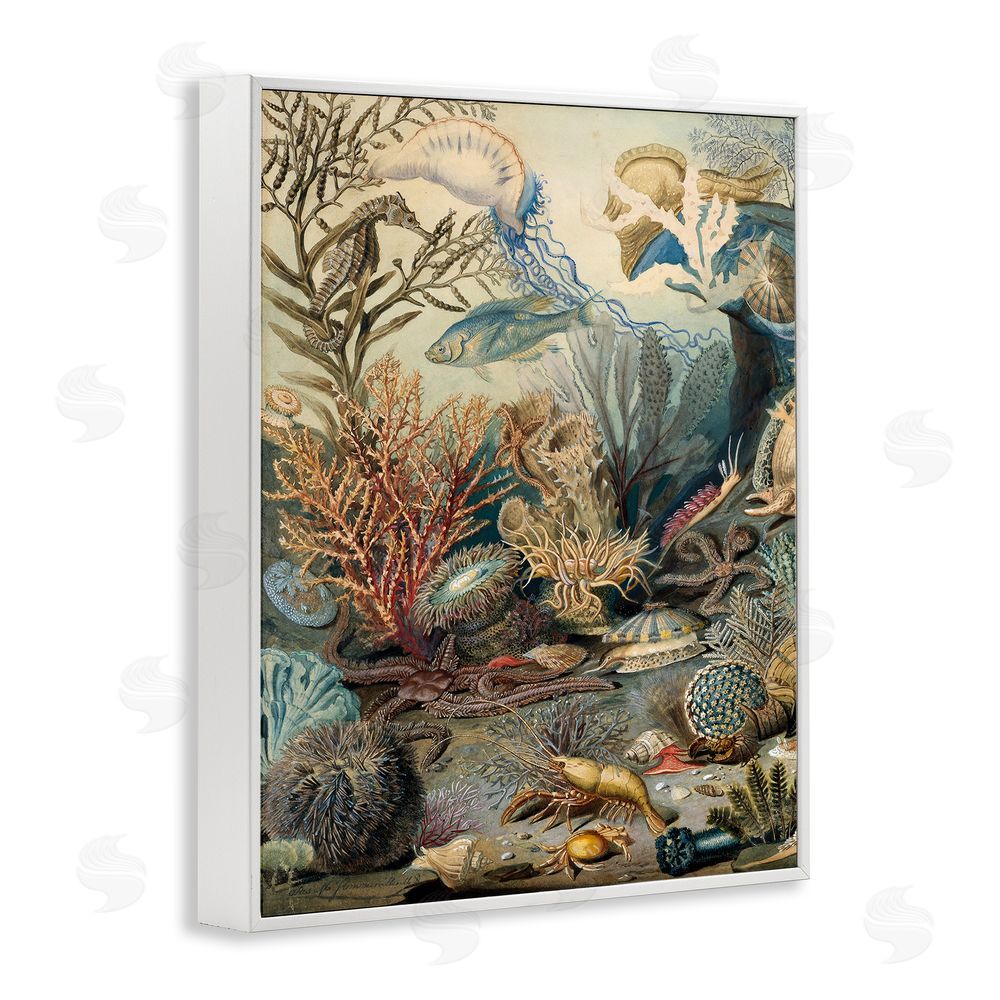 Lil' Rue Aquatic Creatures & Fauna White Framed Giclee Wall Art Print