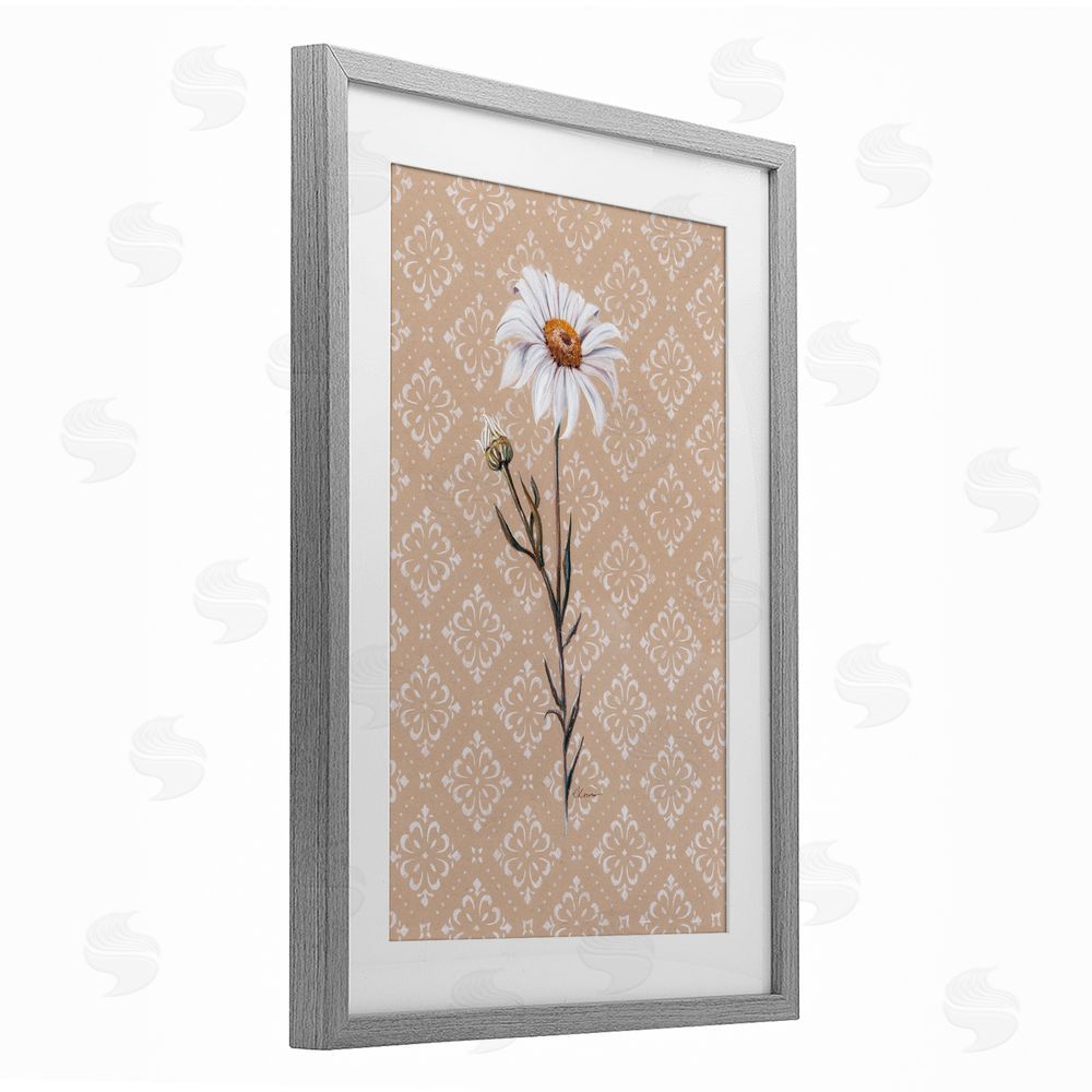 Cady Driver Boho Sprig of Daisy Gray Framed Print Under Glass Wall Art