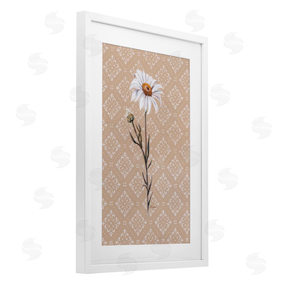 Cady Driver Boho Sprig of Daisy White Framed Print Under Glass Wall Art