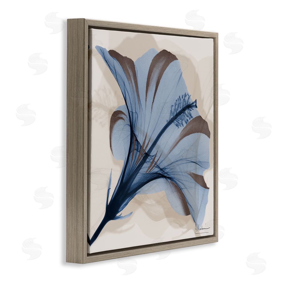Albert Koetsier Blooming Sapphire Flower Brown Floating Frame Canvas Wall Art Print